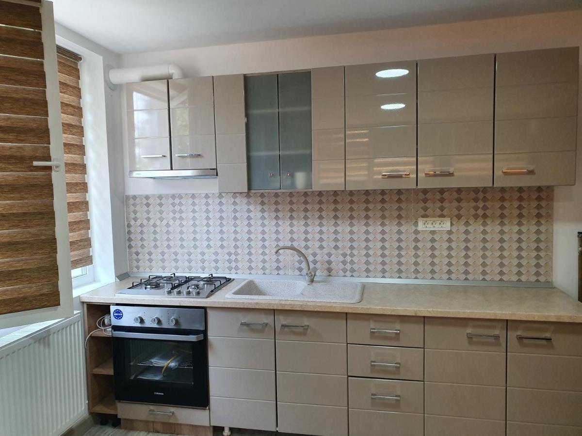 Apartament Negris Birlad Exterior photo