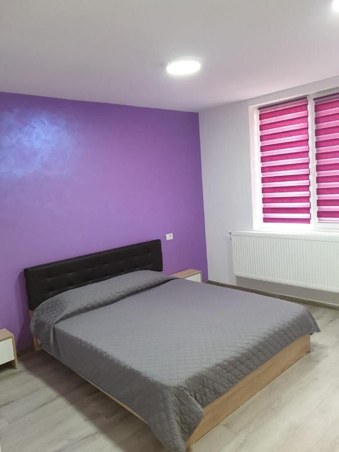 Apartament Negris Birlad Exterior photo